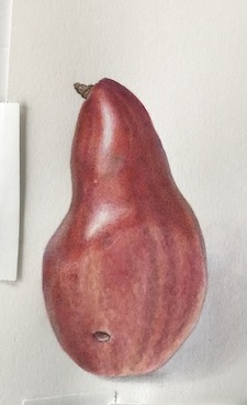 Pear2