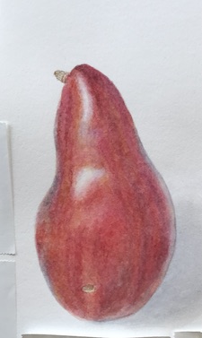 Pear3